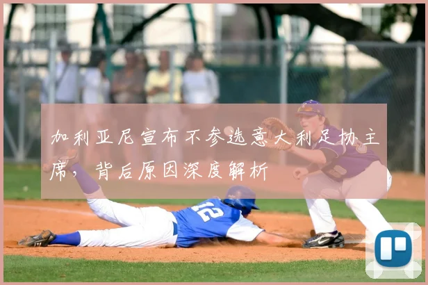 加利亚尼宣布不参选意大利足协主席，背后原因深度解析